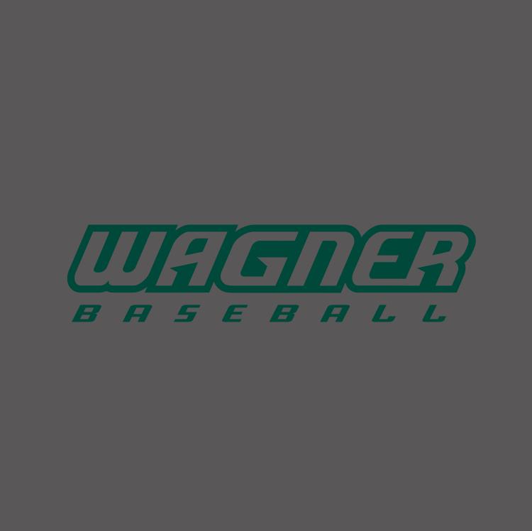 Green Wagner Seahawks Baseball Logo diy iron on heat transfer